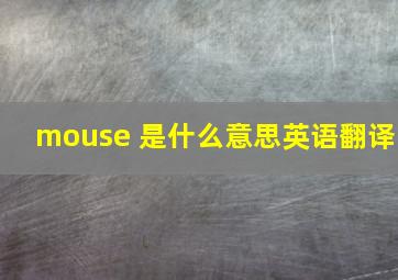 mouse 是什么意思英语翻译